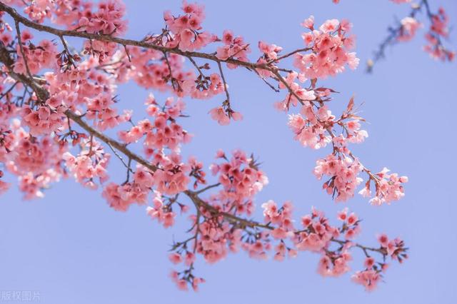多年來不肯養我！我爸退休後「拿100萬聘金開心娶新歡」　直到奶奶摔了一跤「他的新婚生活天翻地覆」
