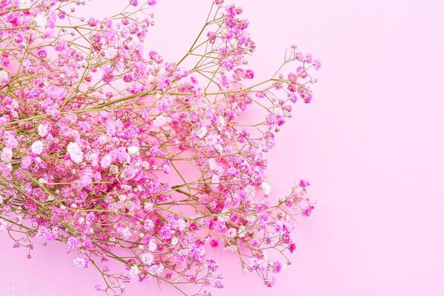 多年來不肯養我！我爸退休後「拿100萬聘金開心娶新歡」　直到奶奶摔了一跤「他的新婚生活天翻地覆」