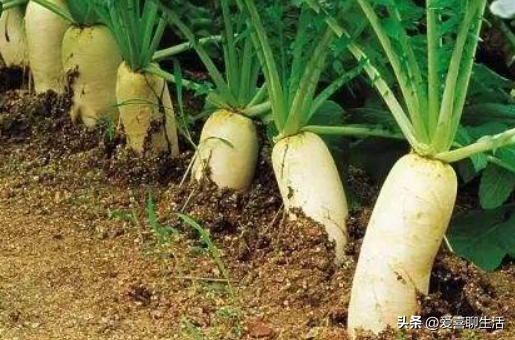 11/７立冬到！牢記「1不過2不宜3不做」吃4樣　補充陽氣：安康順利過冬天