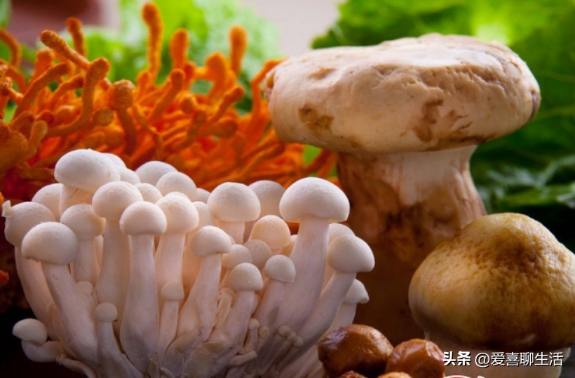 11/７立冬到！牢記「1不過2不宜3不做」吃4樣　補充陽氣：安康順利過冬天