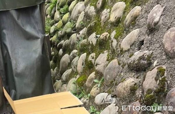 桃園路邊詭異紙箱！他翻開竟見「阿嬤口鼻纏膠帶」嚇求救　監視器「還原驚悚過程」