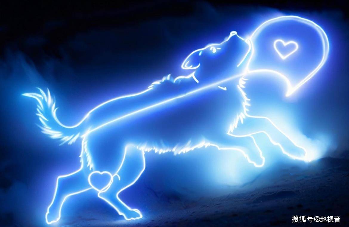 好運纏身一輩子!「3生肖女」和老公越吵越親 「是賢妻良母」帶旺全家財運