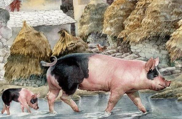 好運纏身一輩子!「3生肖女」和老公越吵越親 「是賢妻良母」帶旺全家財運