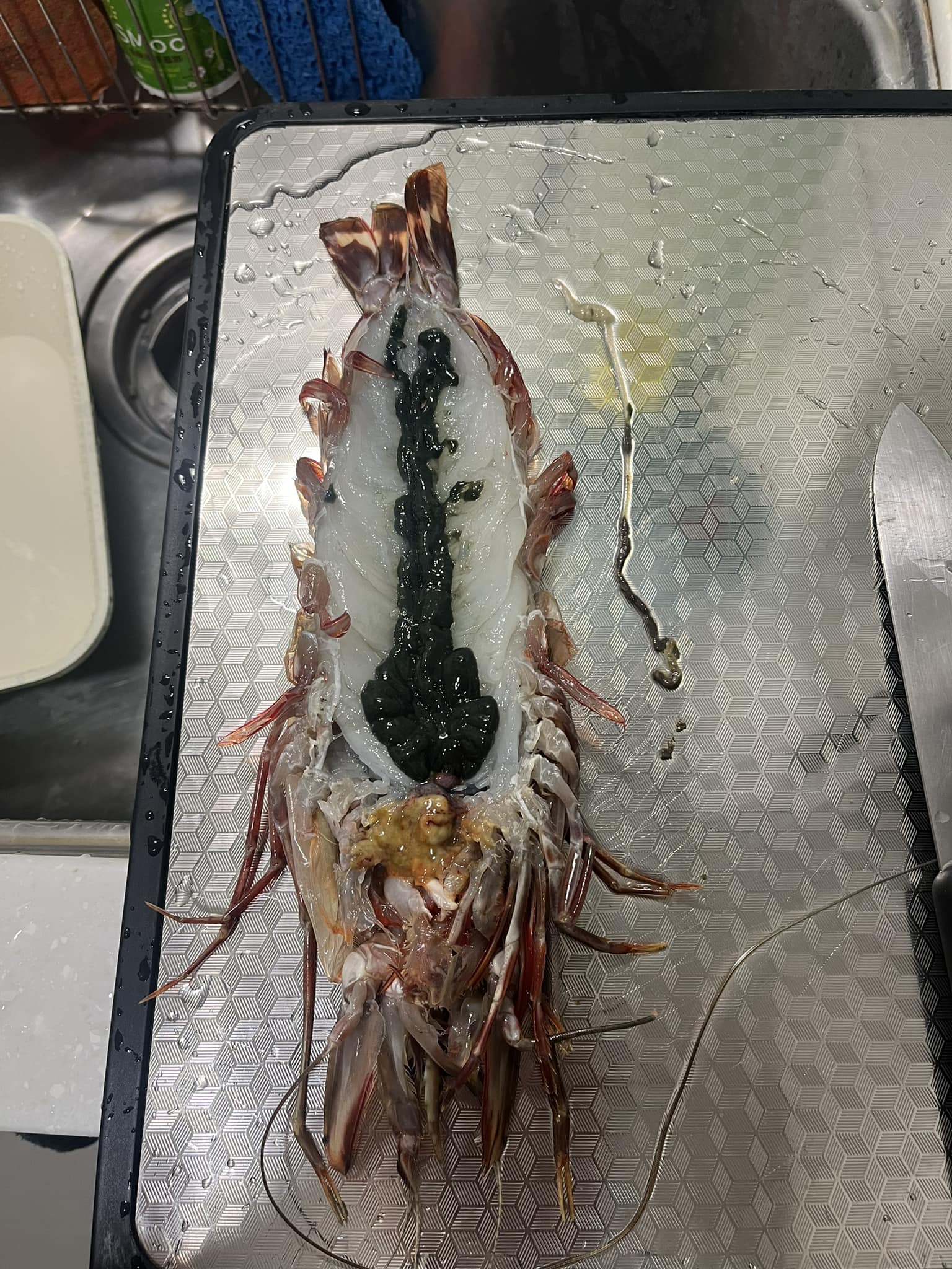 好市多買海虎蝦！剖開一看「裡面藏大坨黑泥」　她嚇壞急問「這能吃嗎？」老饕大讚：這極品欸