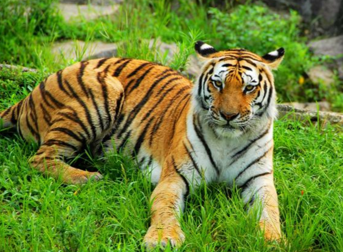 表面上很關心！實際「控制老婆自由」的4大生肖男　第1名「寸步不離」心思超敏感