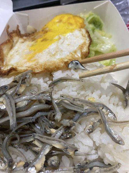 他發現便當裡的小魚乾「有一隻與眾不同」！仔細看當場嚇傻「肚子已經開始痛了」
