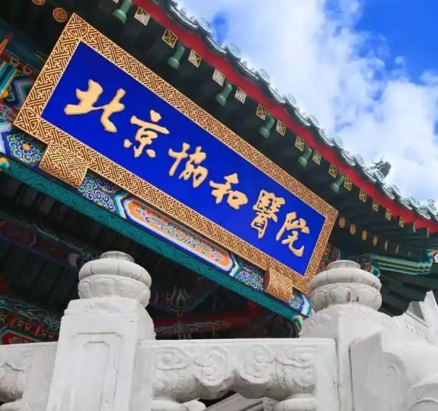 自爆罹患重病!46歲女星「切除全部子宮」只保留卵巢 術後面容憔悴「現身公開病情」...