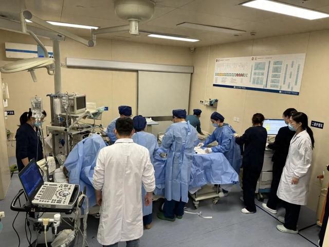 3毫克致命！男子自煮「生附子」進補險喪命 醫師警告：勿自行亂補