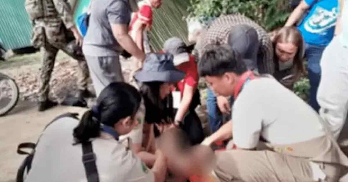 童軍露營活動奪命！釀嚴重案件「3死12傷」　多名重傷「還躺在加護病房」