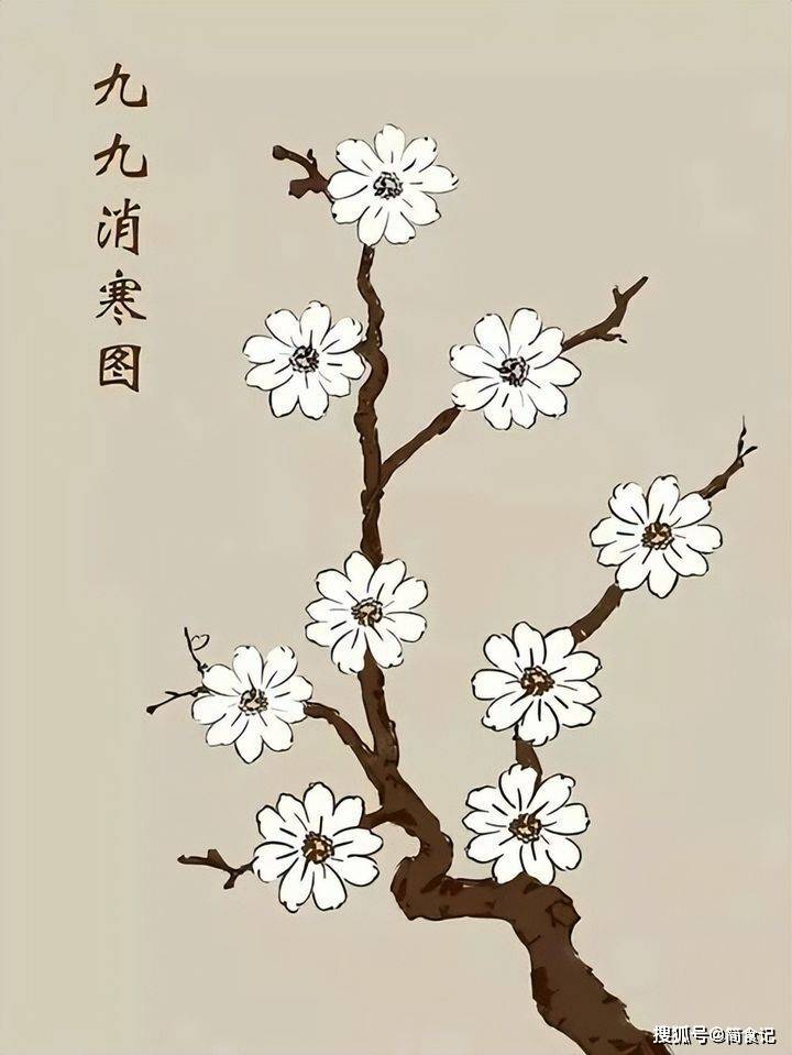 冬至陰氣最重!牢記「4大習俗,3大禁忌」 提醒:2個生肖一定要「穿紅色」才能好運到明年