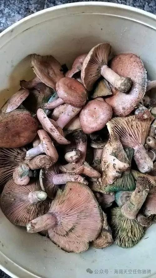 ​好吃又健康！冬天必吃「10大高鉀食物」 　吃了對腸胃好：防中風