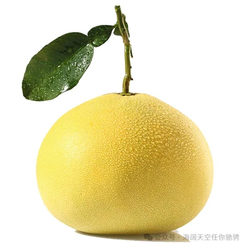 ​好吃又健康！冬天必吃「10大高鉀食物」 　吃了對腸胃好：防中風
