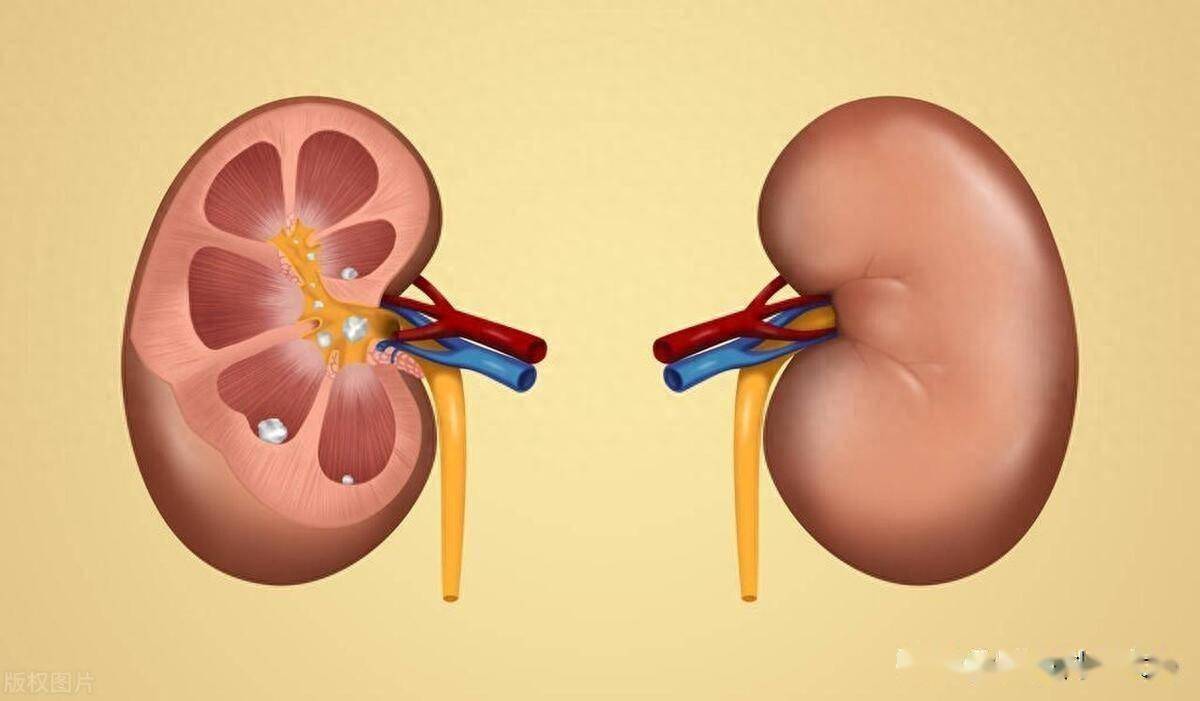 腎衰了,腳先知!腳出現「3種異常」表現 暗示腎臟快要「撐」不住了 :千萬不要忽視