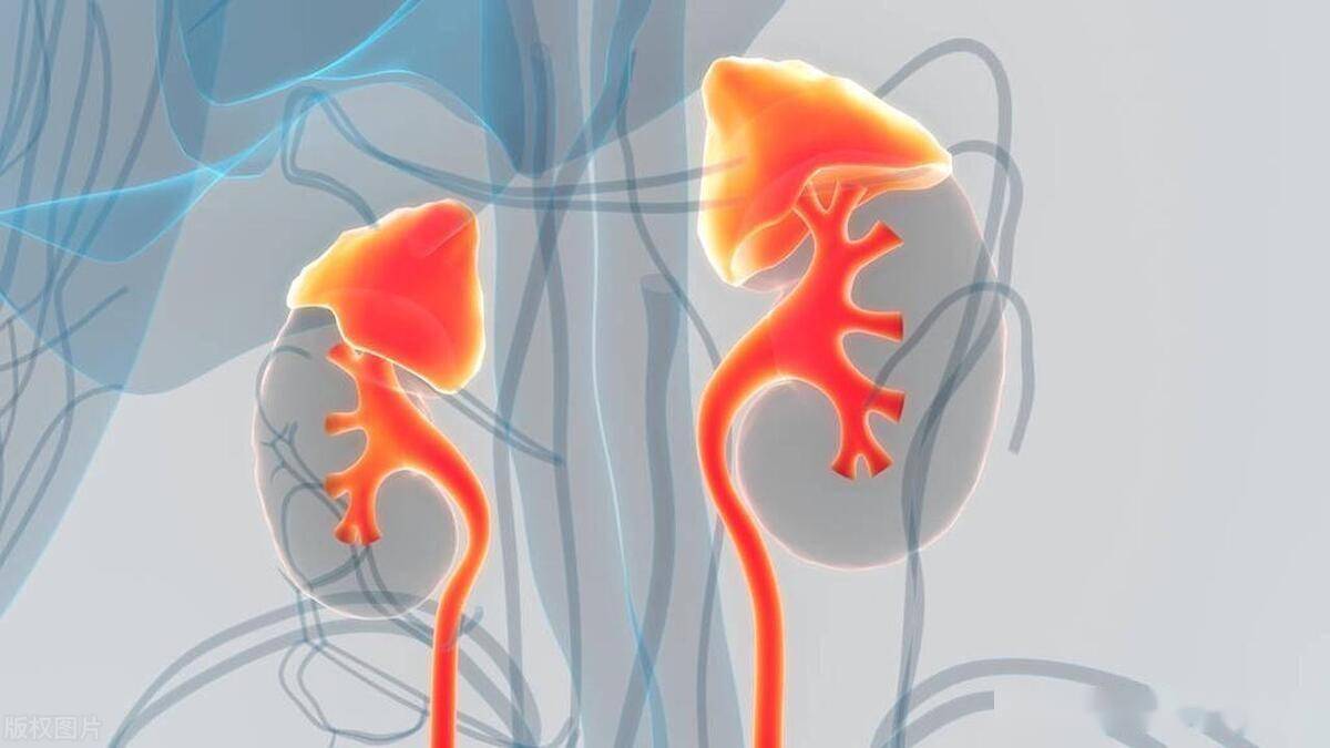 腎衰了,腳先知!腳出現「3種異常」表現 暗示腎臟快要「撐」不住了 :千萬不要忽視