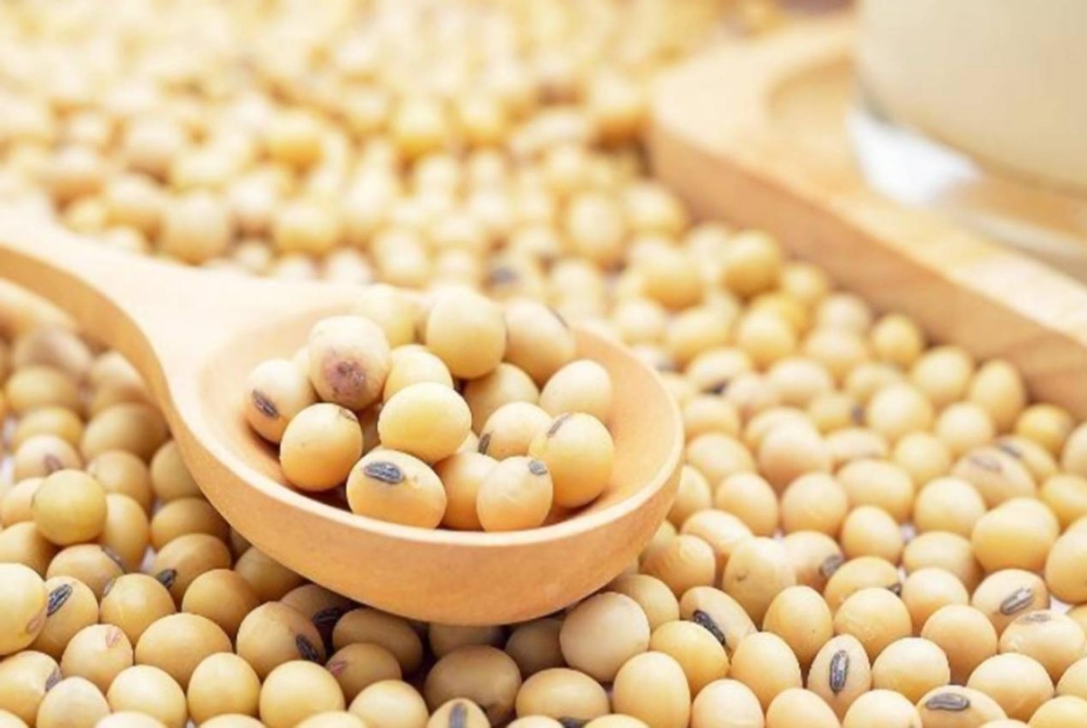 ​好吃又健康！冬天必吃「10大高鉀食物」 　吃了對腸胃好：防中風