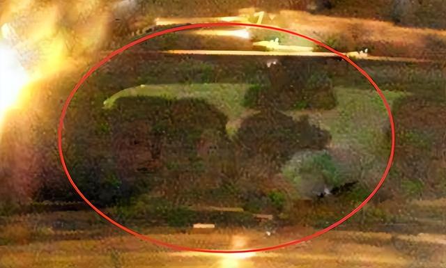 分居12年！資深女星被爆「多次出軌小鮮肉」　丈夫次次原諒「坐輪椅也不離婚」