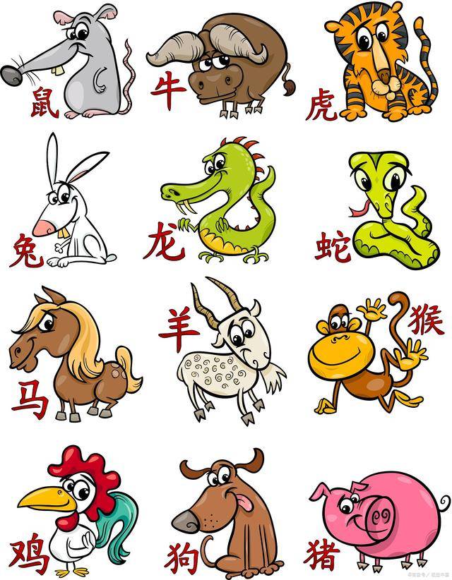 2025青蛇年！俗話說：「青蛇生雙頭，六人要穿紅」指哪6人 ？為家人「祈福辟邪」一整年都順遂
