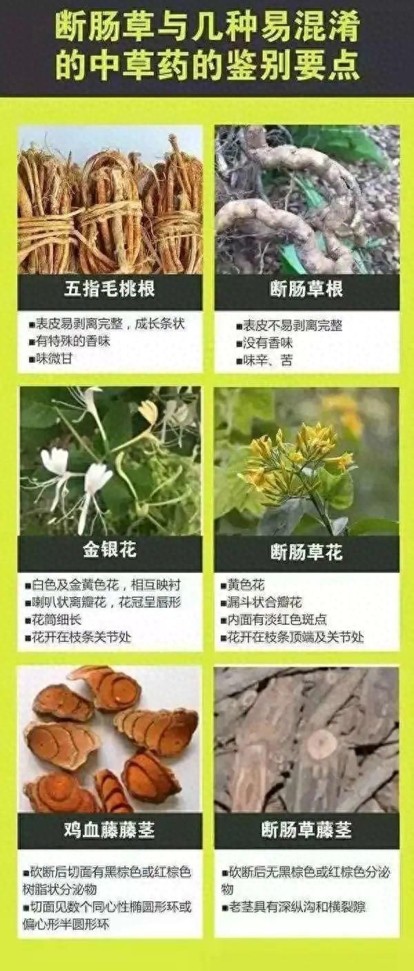 自行買藥材補身體！驚傳老人「煲湯喝出事」送醫不治　警方一查「臉色大變」：不死也重傷