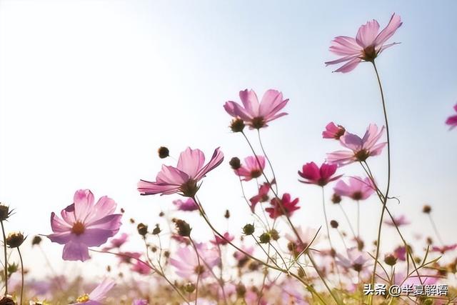 幫買婚房、給退休金！今年想去兒子家過年「媳婦卻說住不下」　發現有人侵門踏戶「我氣做一事」