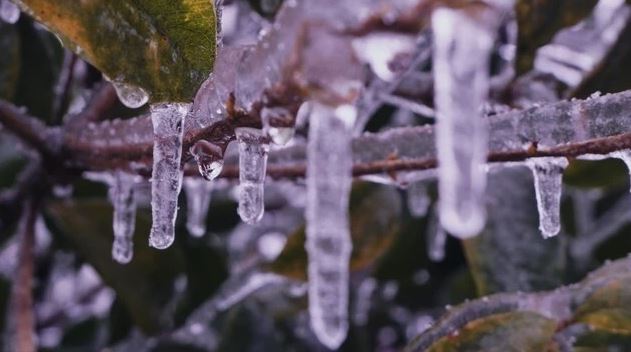 「今年春節冷不冷，就看臘八！」今天臘八，有何預兆？