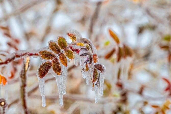 「今年春節冷不冷，就看臘八！」今天臘八，有何預兆？