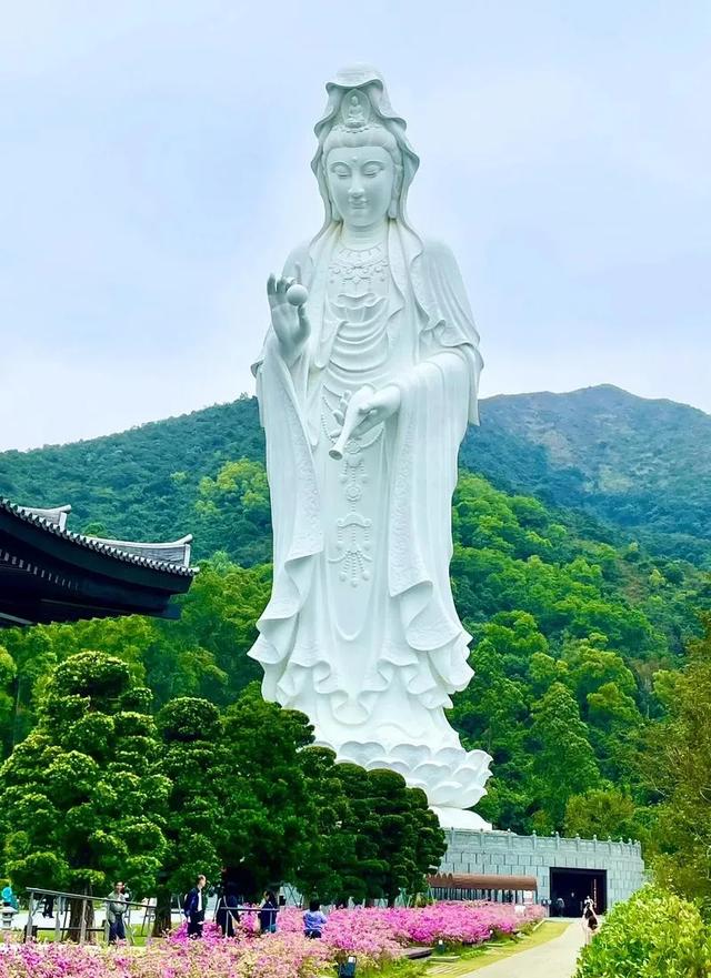 97歲知名大咖現身慈山寺拜佛「爆求長命百歲」　旁人攙扶「佛堂下跪」畫面曝光