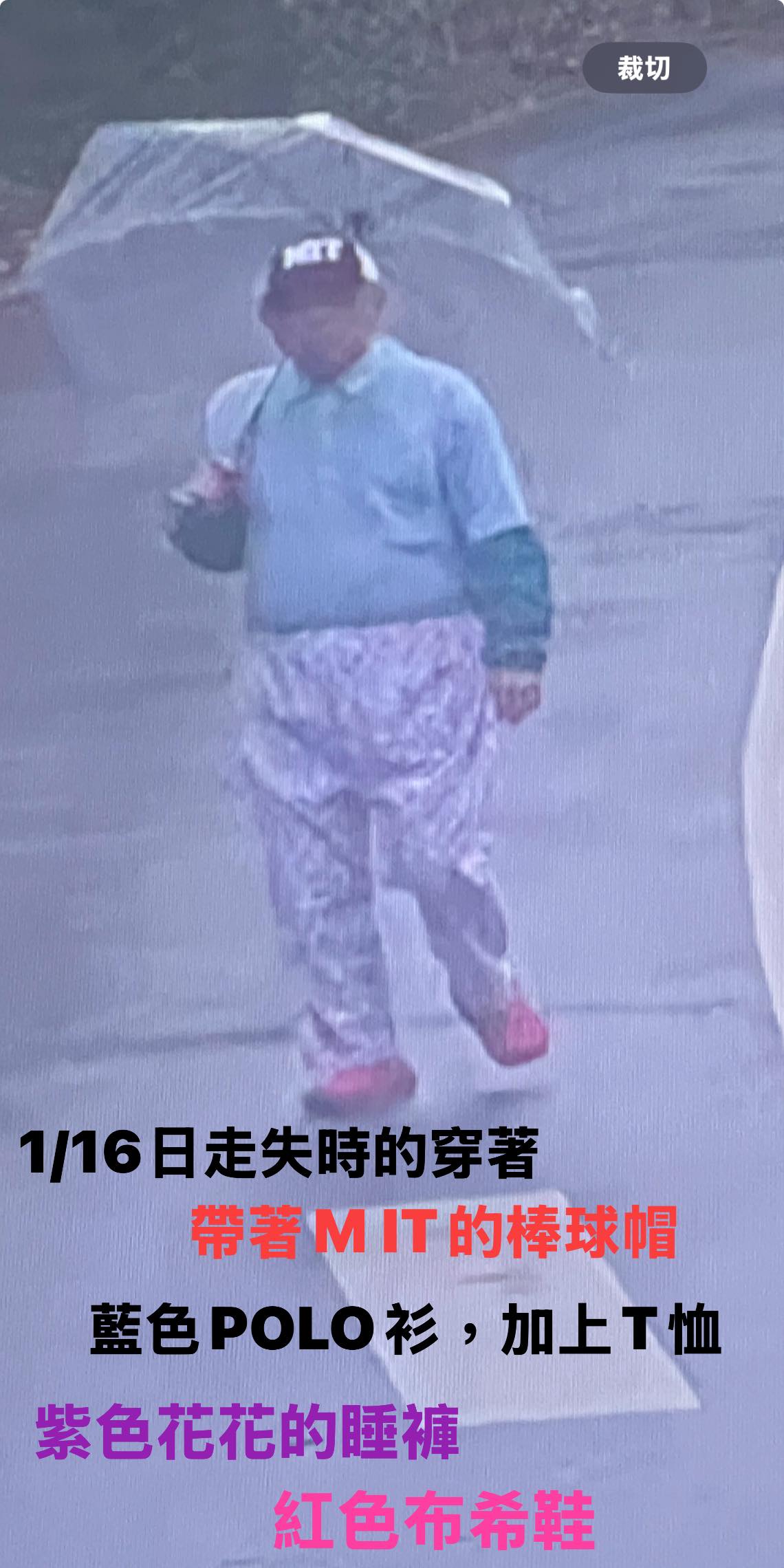 失蹤11天被尋獲！林葉亭「曝招魂現場擲不到筊」　含淚「完成爸爸2大願望」才成功：仍在牽掛媽媽...