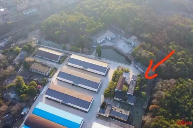 母女一起登山！8歲女童「失蹤十天」媽媽絕望哭泣　「這一地」成破案焦點：容易被忽視