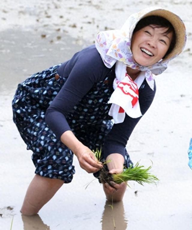 淚別亡夫！安倍晉三遺孀「卸下前首相夫人光環」每周田地耕作　自帶飯糰「樂當樸素農村婦」
