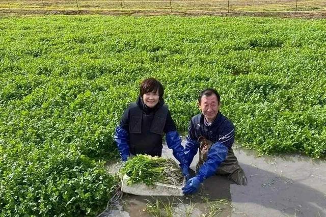 淚別亡夫！安倍晉三遺孀「卸下前首相夫人光環」每周田地耕作　自帶飯糰「樂當樸素農村婦」