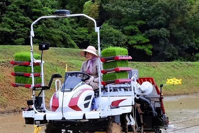 淚別亡夫！安倍晉三遺孀「卸下前首相夫人光環」每周田地耕作　自帶飯糰「樂當樸素農村婦」