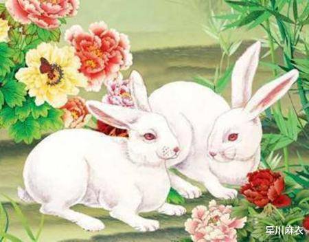 元宵後「財運如雨下」!這三大生肖「將獲菩薩加持」迎來出頭日