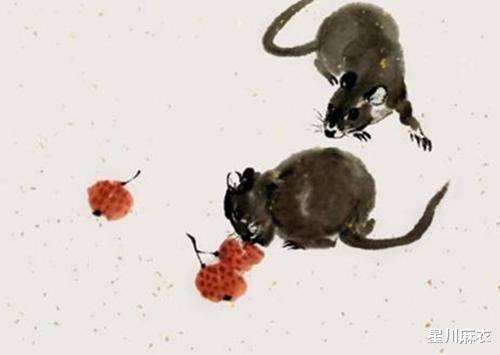 元宵後「財運如雨下」!這三大生肖「將獲菩薩加持」迎來出頭日