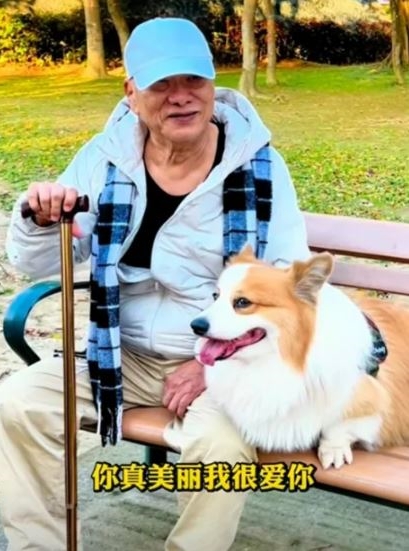原旅居國外！昔日綜藝天王「驚傳二度中風」　急返台「拄柺杖現身」康康說話了