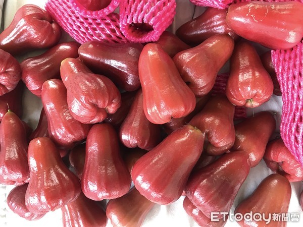 拜婆婆準備蓮霧！尪阿姨暴怒開噴「妳還嗆頂嘴」：安靜聽就好　人妻傻眼「我哪裡錯了？」