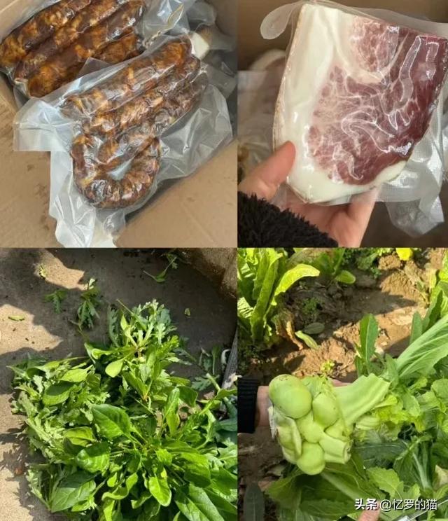 姑丈父母雙亡！媽媽「叫姑姑一家回來過年」　最近「媽媽打開米缸」轉頭對爸爸說：明年別讓她回來了
