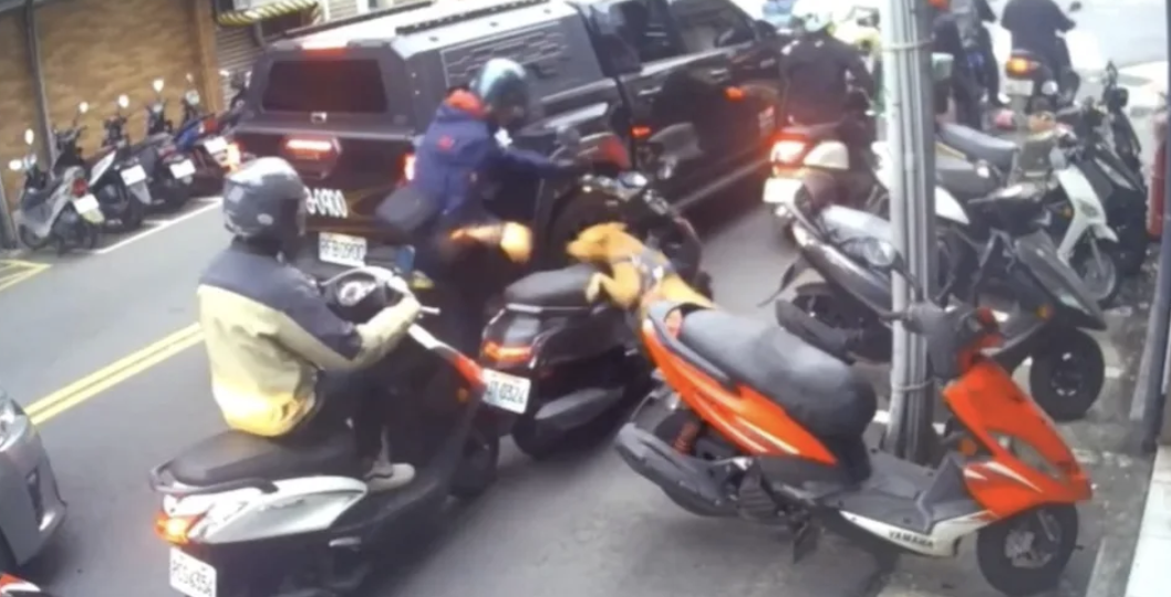 飼主堅稱「2次都是比特犬開窗」！關鍵「7秒畫面曝光」秒打臉