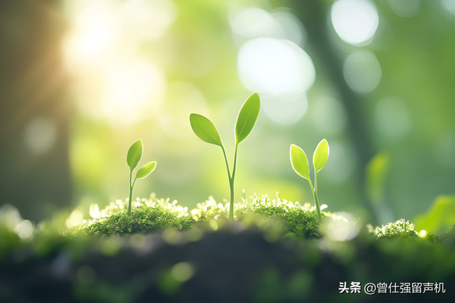 福報不在香火中！這4種行為最能「積陰德、養福報」　看看你做過幾件