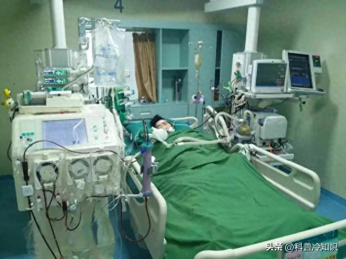 剩飯拿去炒！他一吃命危「被送進ICU」多重器官衰竭　醫搖頭：6食物「千萬別隔夜吃」