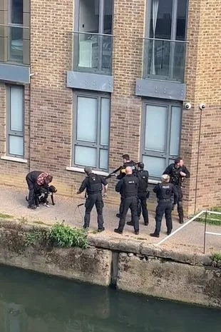 被指控襲擊路人「遭7警舉槍包圍」！2比特犬「上秒還在搖尾、下秒遭擊斃」居民目睹崩潰：為何開槍...