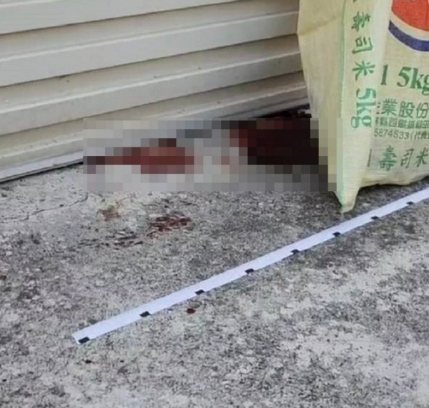 啃老還殺母砍父！雲林26歲男「因為太子舞」讓84親友連署原諒　法官最後輕判12年