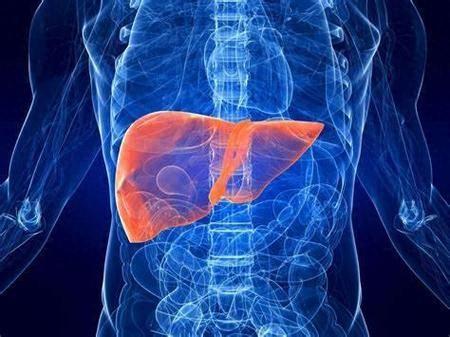 逆轉脂肪肝奇蹟！66歲大叔靠「南瓜飲食法」肝臟回春　醫生揭密成功背後「2大關鍵」