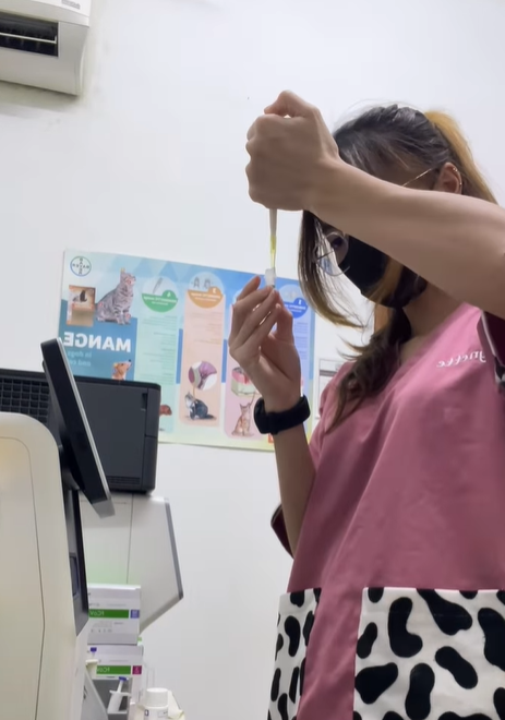 正妹獸醫王彩沬人美心善！災區救援小動物意外爆紅，真實身份竟是超會跳女星