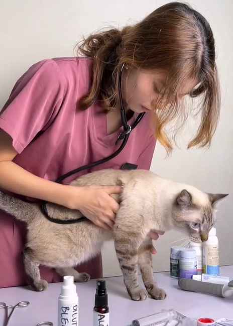 正妹獸醫王彩沬人美心善！災區救援小動物意外爆紅，真實身份竟是超會跳女星