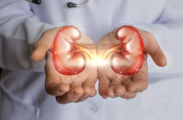 腎臟健康警訊！這些「隱形殺手」食物你可能每天都在吃