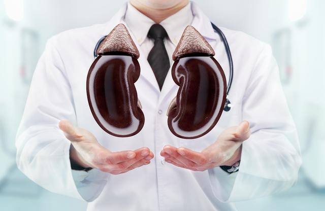 腎臟健康警訊！這些「隱形殺手」食物你可能每天都在吃