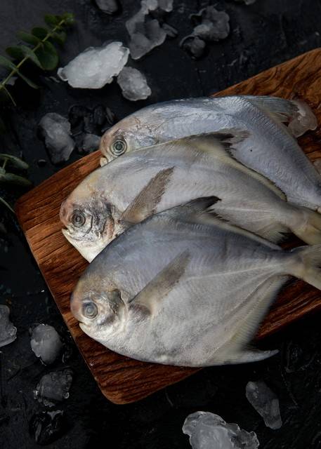 入夏前趕快吃！「這5種魚」可遇不可求　營養美味「還能降膽固醇」