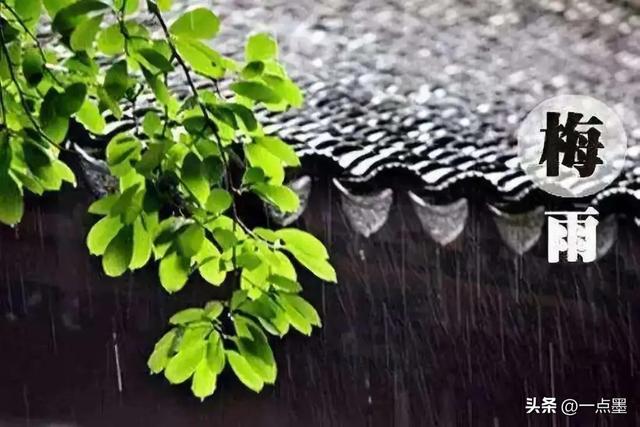 10年一遇「早梅雨」來襲！老祖宗智慧預測今年雨水多寡