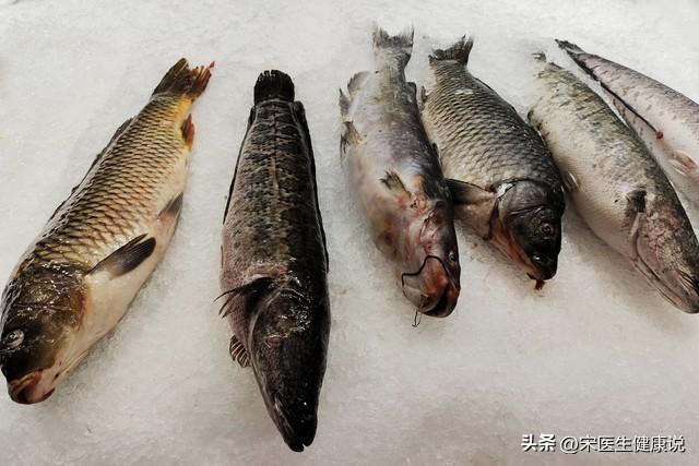 4種魚類藏健康危機！專家揭「血栓風險」飆升41%關鍵原因