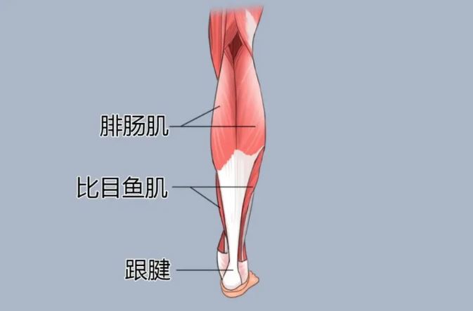 夏天一到「女生最愛穿」3種鞋　醫警告：有的趕快丟了！